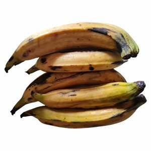 Bananes Plantains Vertes