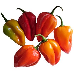 Piment fort